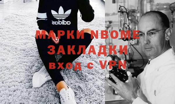 прущие грибы Корсаков