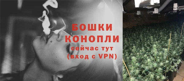 прущие грибы Корсаков