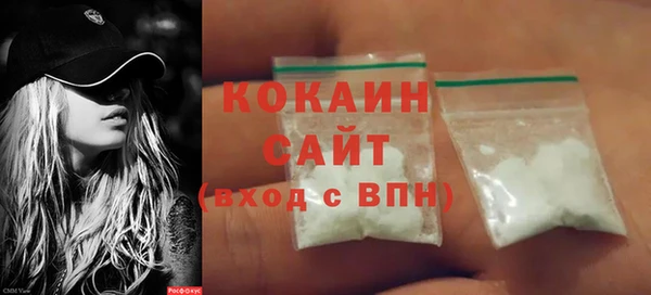 прущие грибы Корсаков