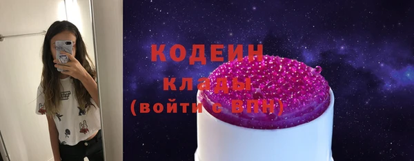прущие грибы Корсаков
