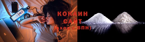 прущие грибы Корсаков