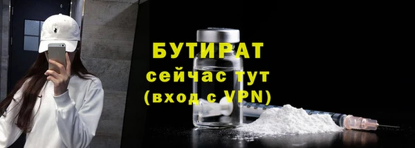 прущие грибы Корсаков