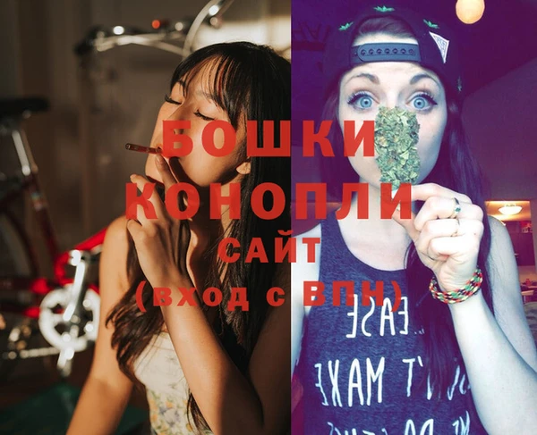 индика Гусиноозёрск