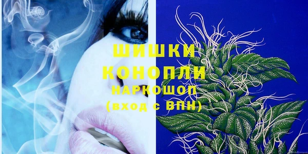 стаф Горняк