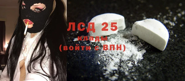 прущие грибы Корсаков