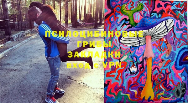 прущие грибы Корсаков