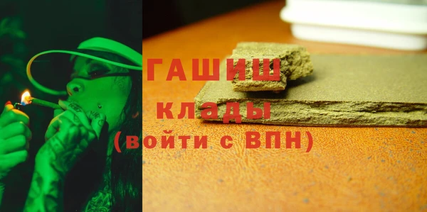 прущие грибы Корсаков