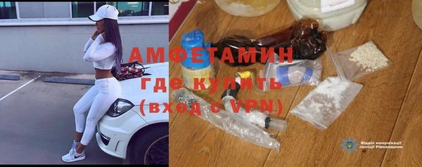 прущие грибы Корсаков