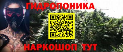 соль курить ск Пугачёв