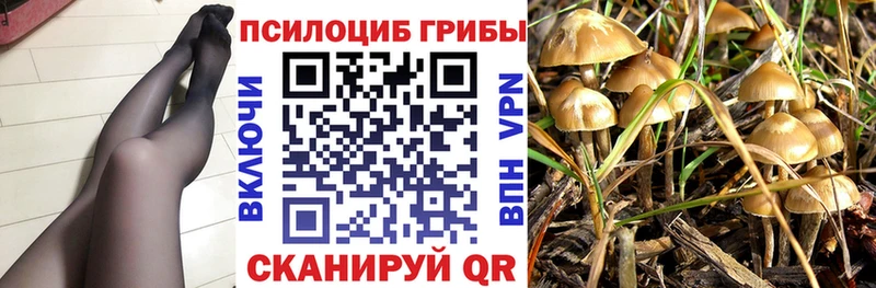 где найти наркотики Махачкала Галлюциногенные грибы GOLDEN TEACHER