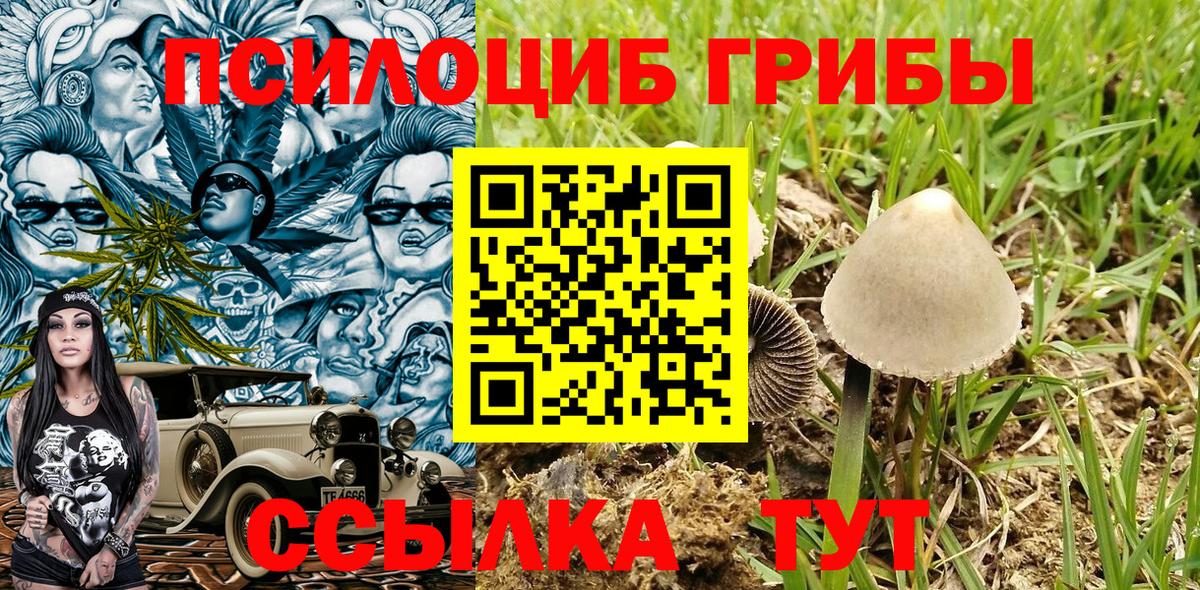 Псилоцибиновые грибы Psilocybe  Махачкала  Псилоцибиновые грибы Psilocybine cubensis 